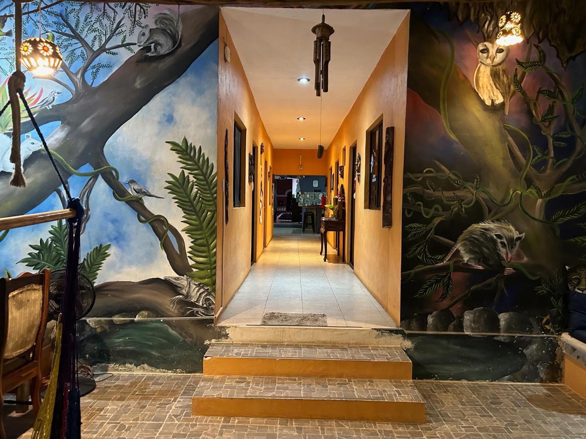 Hostel Casa Xtakay Valladolid  Extérieur photo